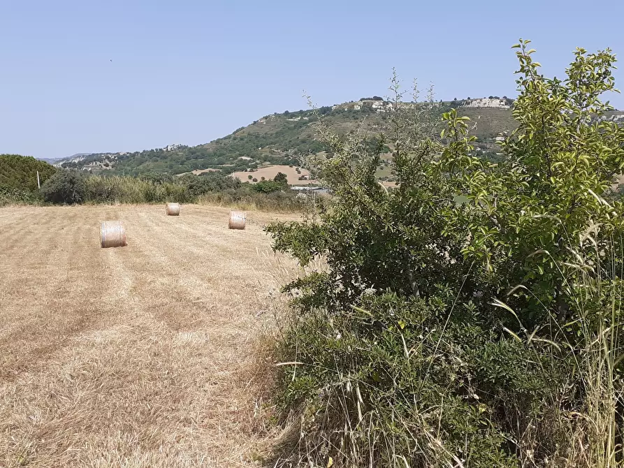Immagine 54 di Terreno agricolo in vendita  in c.da Poi a Palazzolo Acreide