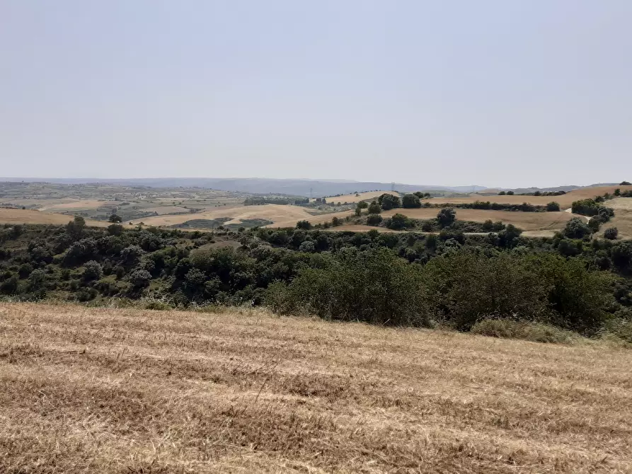 Immagine 42 di Terreno agricolo in vendita  in c.da Poi a Palazzolo Acreide