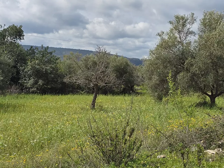 Immagine 12 di Villa in vendita  in Cavasecca a Canicattini Bagni