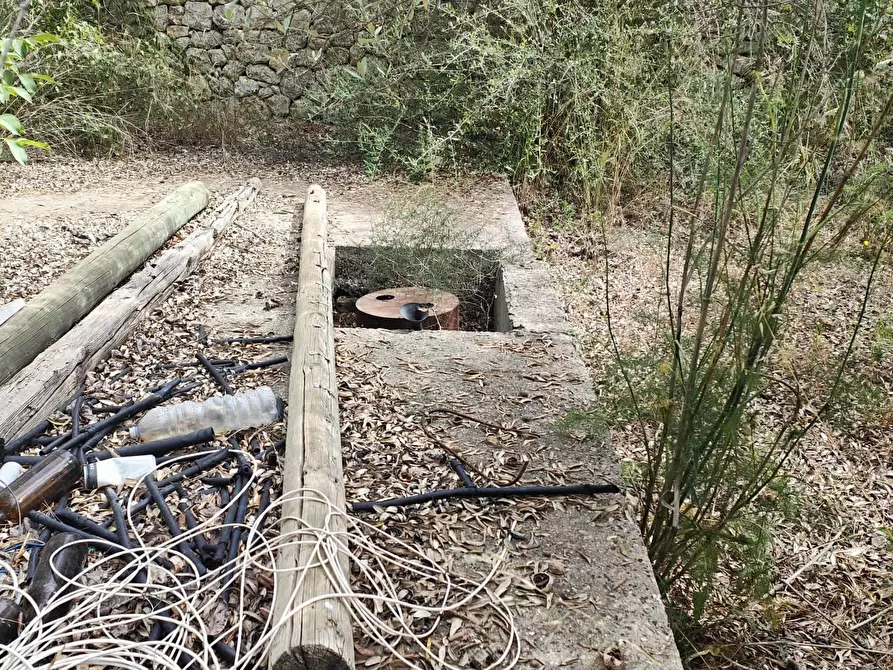Immagine 9 di Terreno agricolo in vendita  in Strada Provinciale 14 5 a Noto