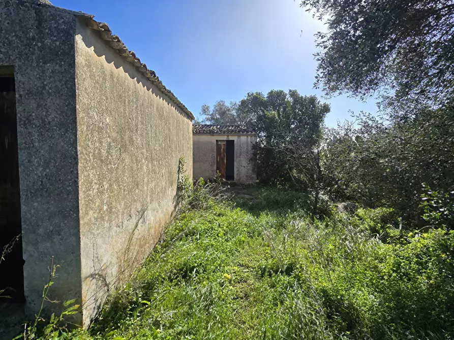 Immagine 24 di Terreno agricolo in vendita  in C.DA CUGNI SNC a Siracusa
