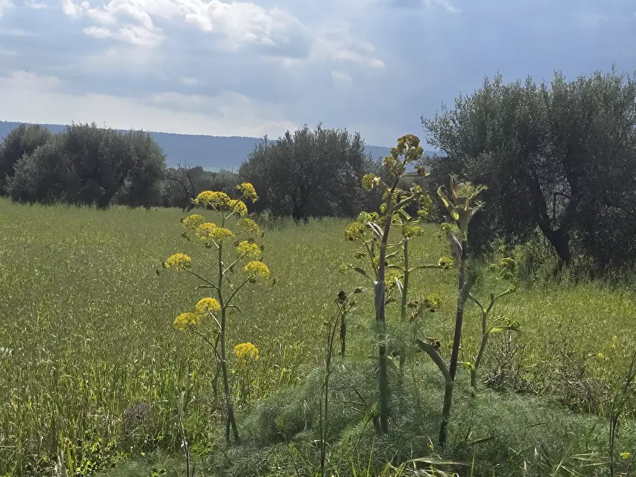 Immagine 23 di Villa in vendita  in Cavasecca a Canicattini Bagni