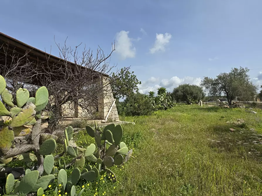 Immagine 11 di Terreno agricolo in vendita  in Traversa Grotta Perciata a Siracusa