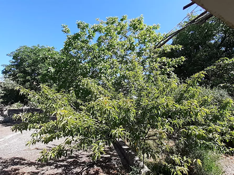 Immagine 36 di Rustico / casale in vendita  in Strada Provinciale 24 21 a Noto