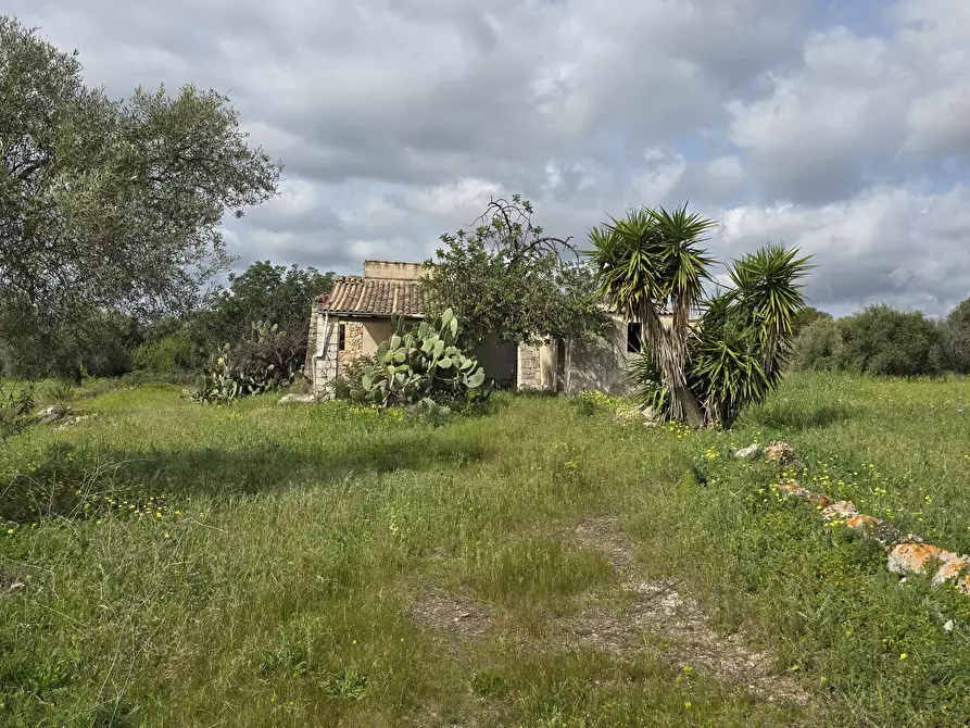 Immagine 4 di Villa in vendita  in Cavasecca a Canicattini Bagni