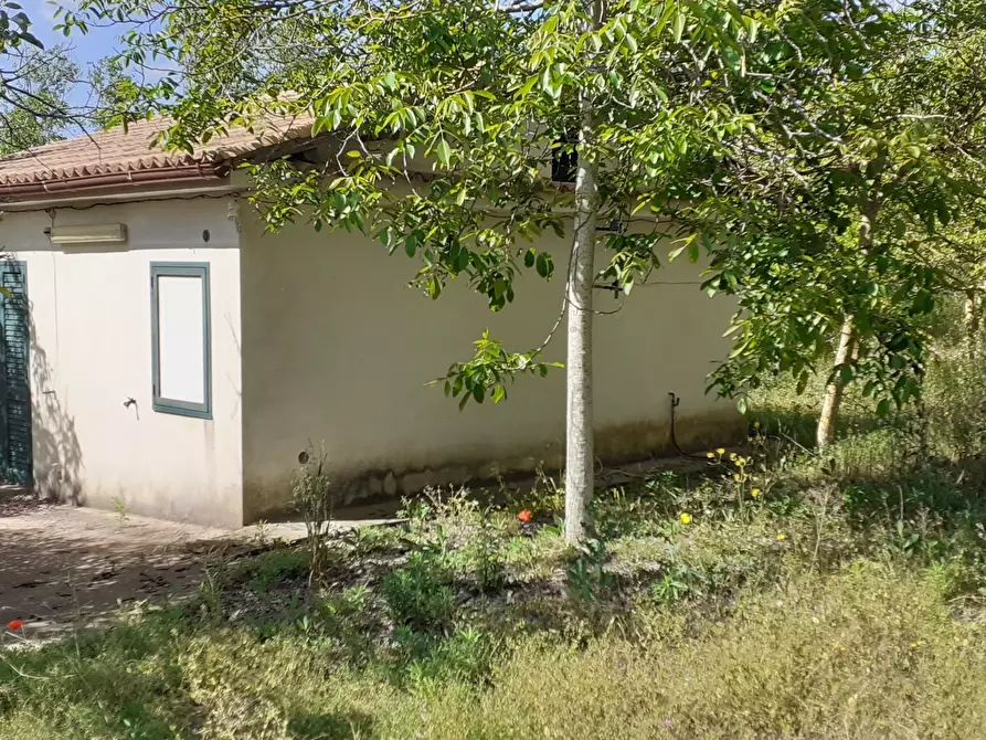 Immagine 8 di Terreno agricolo in vendita  in Strada Statale 287 a Noto