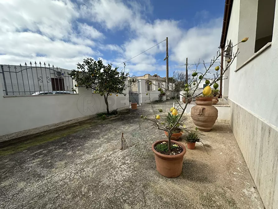 Immagine 3 di Villa in vendita  a Campobello Di Mazara