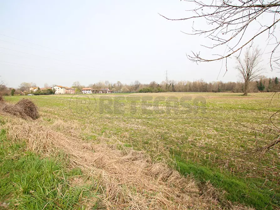 Immagine 12 di Terreno agricolo in vendita  a Villaverla
