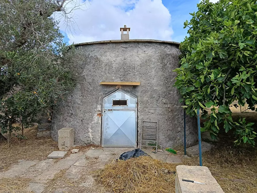 Immagine 9 di Terreno agricolo in vendita  a Corigliano D'otranto