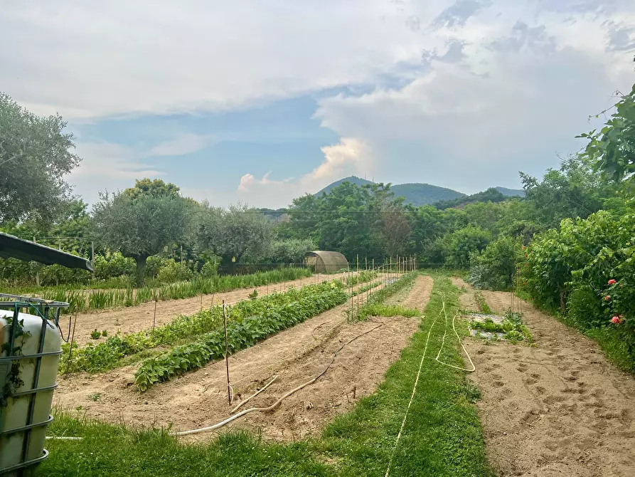 Immagine 26 di Villetta a schiera in vendita  in Via Monte Venda 516 a Vo