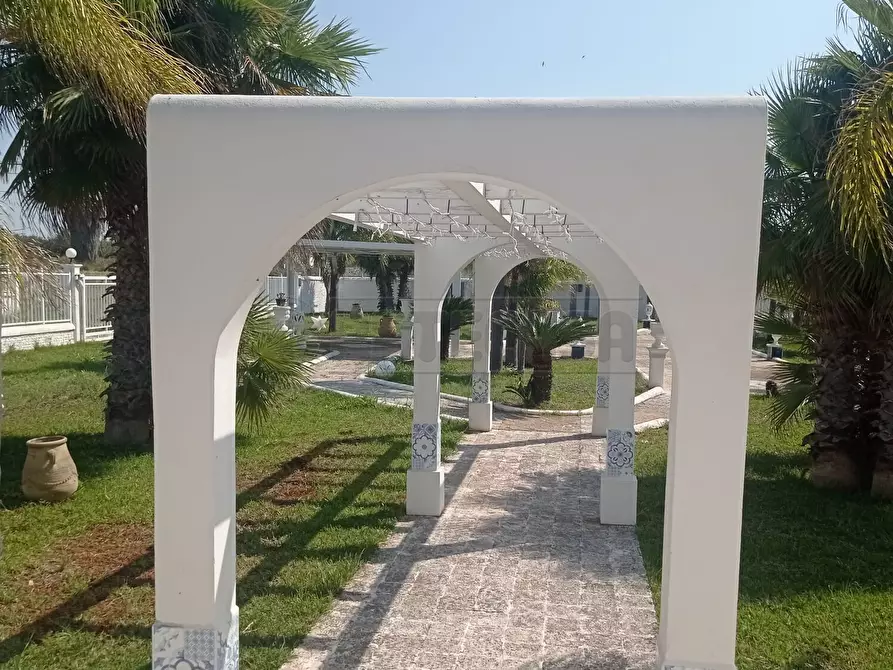 Immagine 5 di Villa in vendita  a Castelvetrano