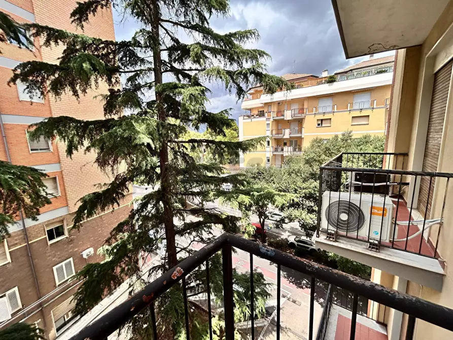 Immagine 13 di Trilocale in vendita  in Via Istria 4 a Caltanissetta