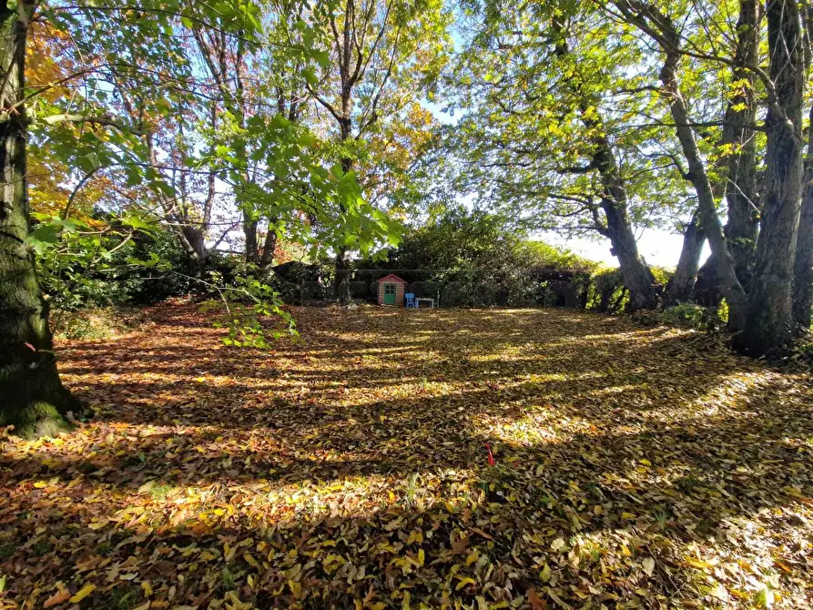 Immagine 17 di Rustico / casale in vendita  in Via Sommi Picenardi a Cappella De' Picenardi