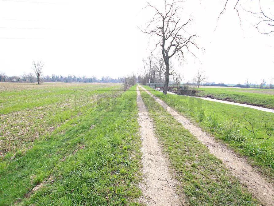 Immagine 5 di Terreno agricolo in vendita  a Villaverla