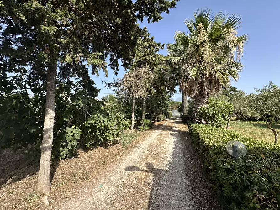 Immagine 28 di Villa in vendita  a Mazara Del Vallo