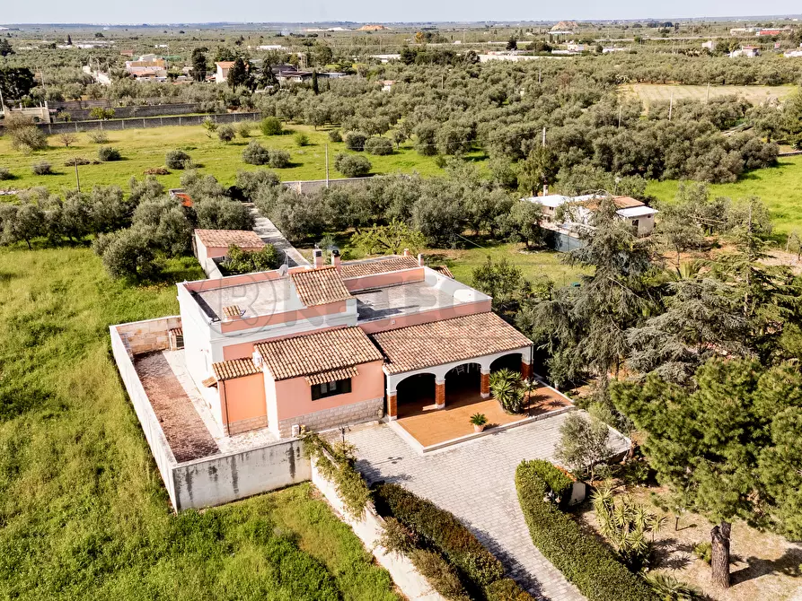 Immagine 3 di Villa in vendita  in Via Crosta 9 a Bisceglie
