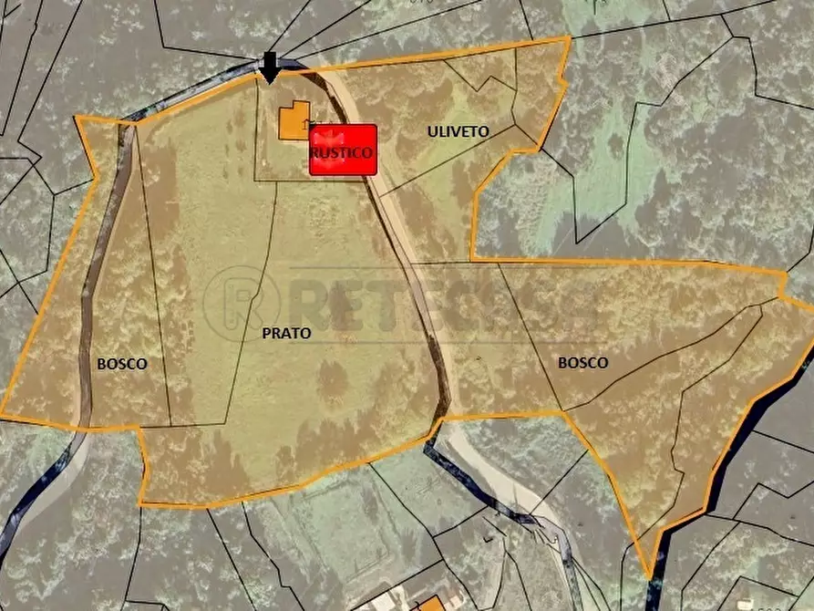 Immagine 14 di Rustico / casale in vendita  in Via San Nicolò 7 a Montorso Vicentino