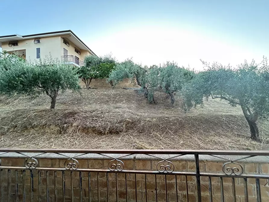 Immagine 53 di Villa in vendita  in contrada Serra Pantano a Caltanissetta