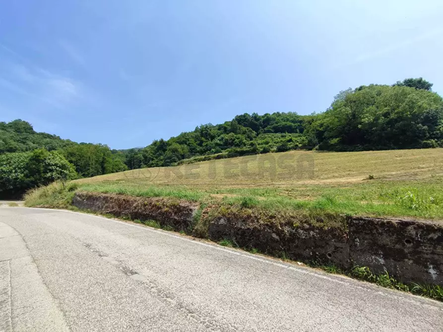 Immagine 1 di Terreno agricolo in vendita  in Via Sgaggeri 4 a Chiampo