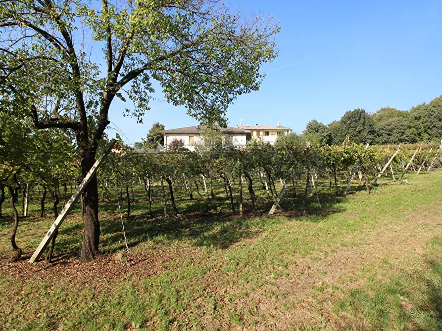 Immagine 6 di Terreno edificabile in vendita  in Via Calderina 8 a Gambellara
