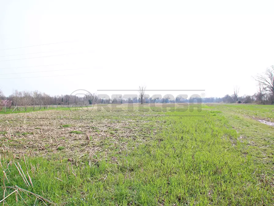 Immagine 3 di Terreno agricolo in vendita  a Villaverla