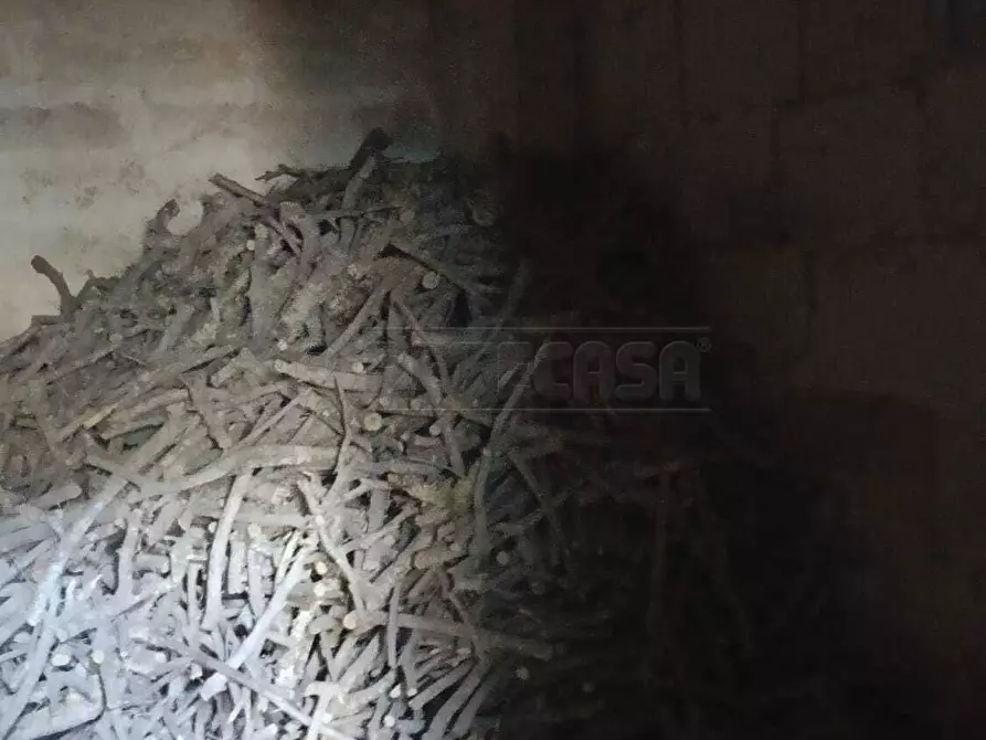 Immagine 2 di Casa indipendente in vendita  in Via Abate 1 a Scorrano