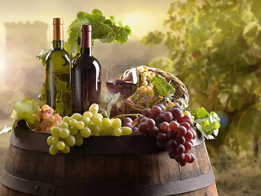 Immagine 6 di Terreno agricolo in vendita  a Castelvetrano