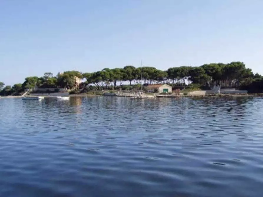 Immagine 7 di Villa in vendita  a Marsala