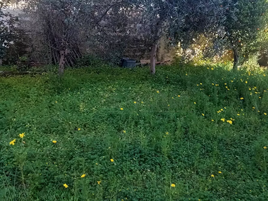 Immagine 17 di Villetta a schiera in vendita  a Castelvetrano