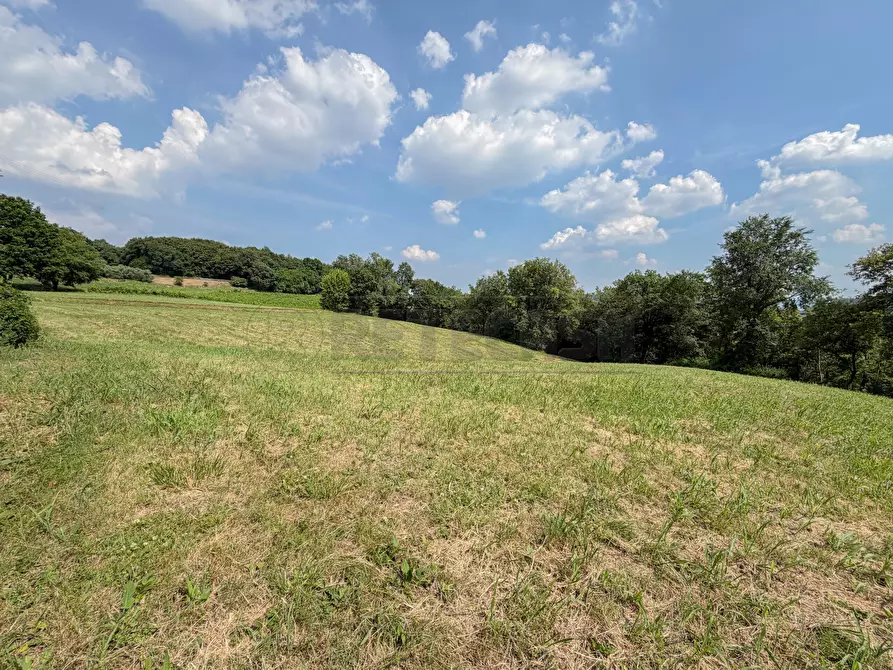 Immagine 13 di Terreno agricolo in vendita  in Via Castegnini di Sopra a Sovizzo