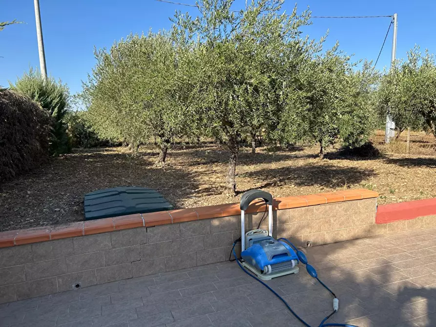 Immagine 3 di Villa in vendita  a Caltanissetta