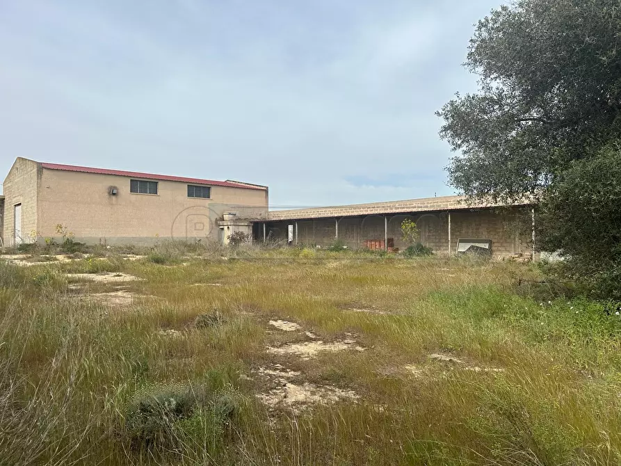 Immagine 8 di Attività artigianale in vendita  a Mazara Del Vallo