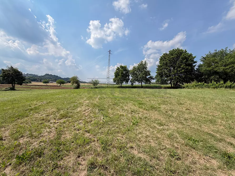 Immagine 5 di Terreno agricolo in vendita  in Via Castegnini di Sopra a Sovizzo