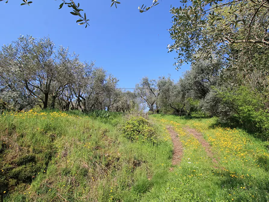 Immagine 13 di Rustico / casale in vendita  in Via San Nicolò 7 a Montorso Vicentino