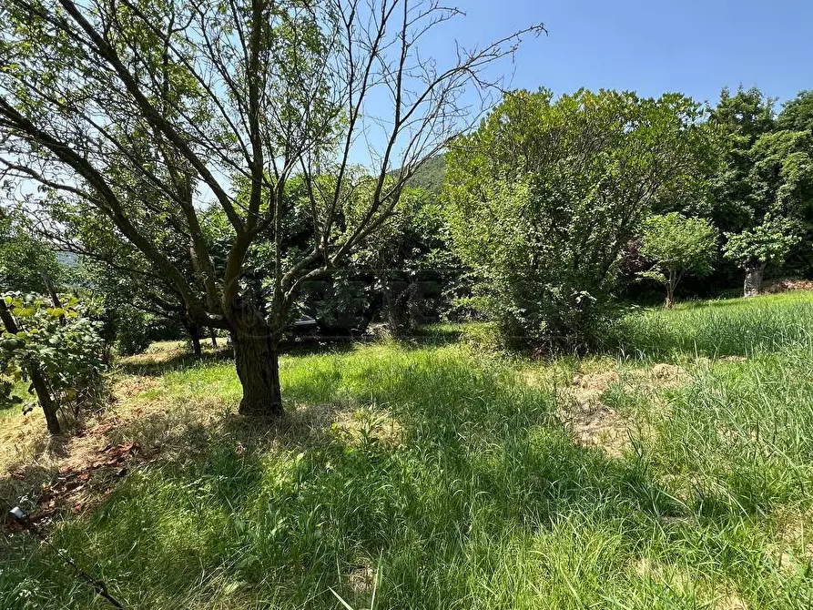 Immagine 3 di Terreno agricolo in vendita  in Via Casette 9 a Val Liona