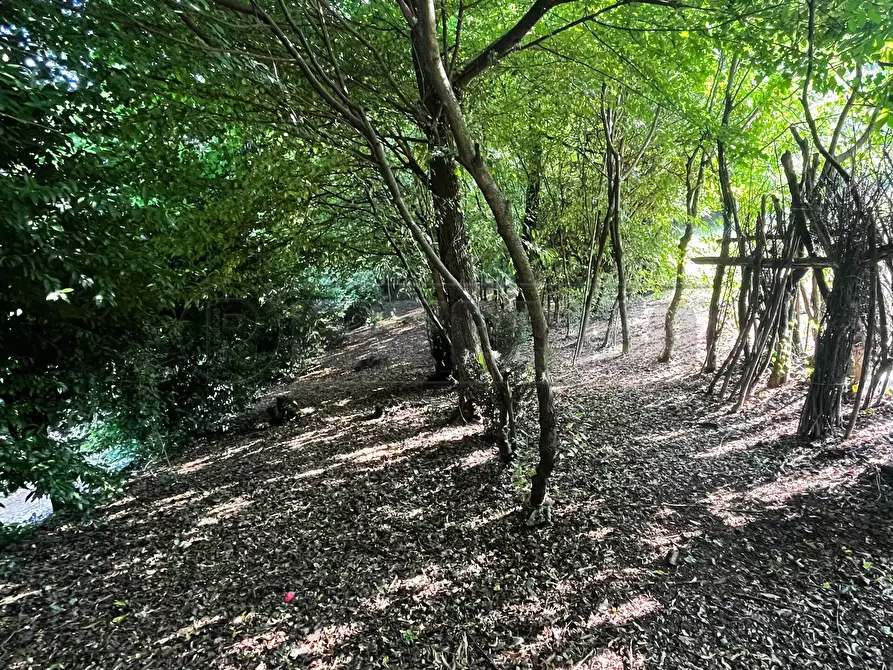 Immagine 18 di Terreno agricolo in vendita  in Via Bazziola a Monteviale