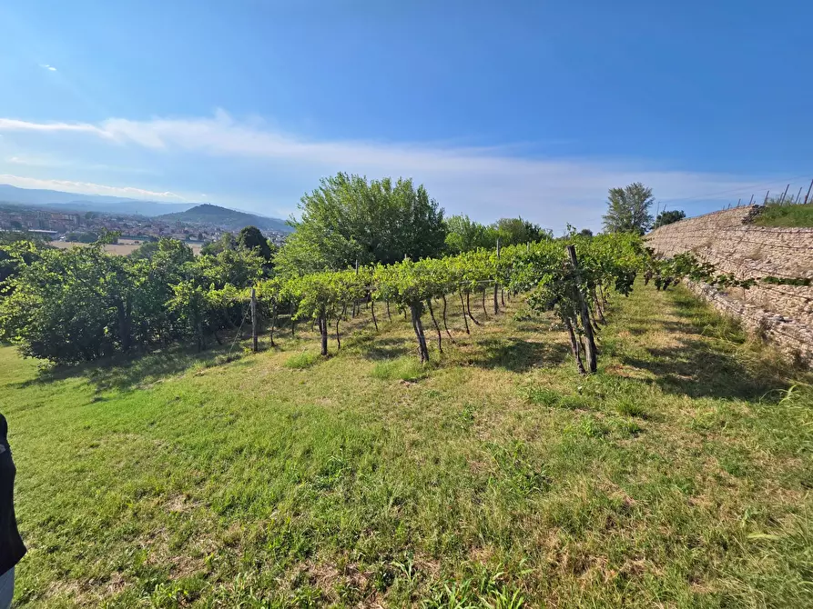 Immagine 6 di Terreno agricolo in vendita  in Via Selva Alta 95 a Montecchio Maggiore