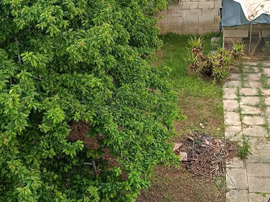 Immagine 10 di Casa semindipendente in vendita  in Via Papa Giovanni XXIII 2 a Cursi