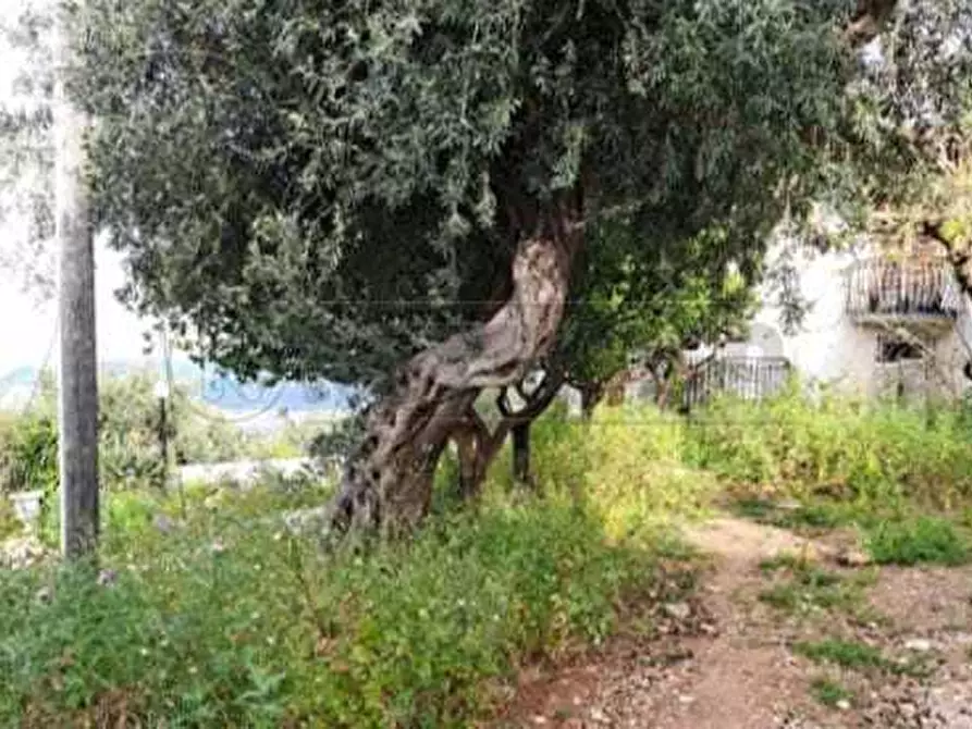 Immagine 21 di Villa in vendita  in Strada Statale 113, Snc a Termini Imerese