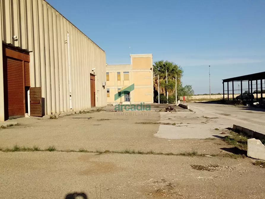 Immagine 11 di Attività artigianale in affitto  in SP231 KM 0,800 a Modugno