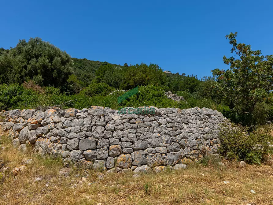 Immagine 23 di Rustico / casale in vendita  in Contrada Torchiano a Monopoli