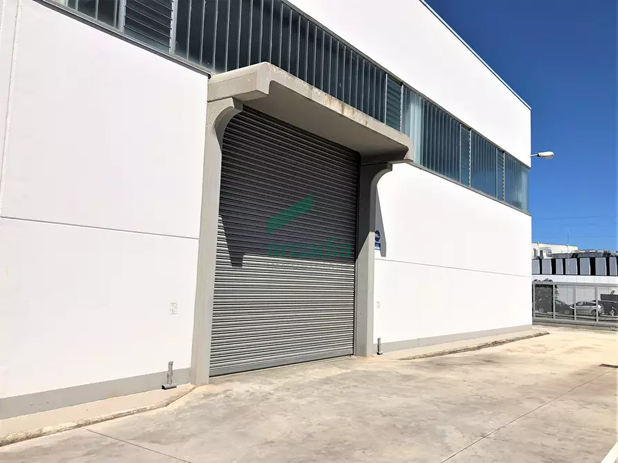 Immagine 44 di Attività artigianale in vendita  in Via delle Magnolie 8 a Modugno