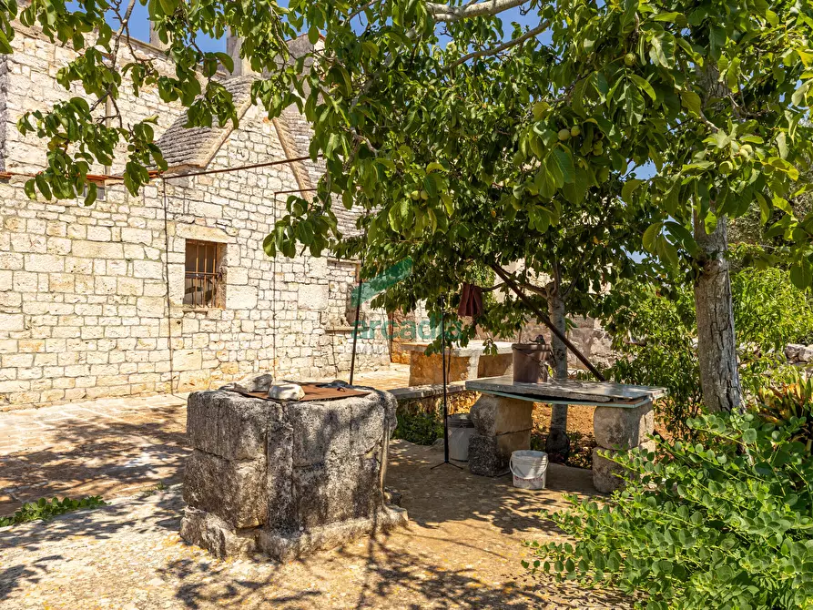 Immagine 7 di Rustico / casale in vendita  in SP32 68 a Putignano