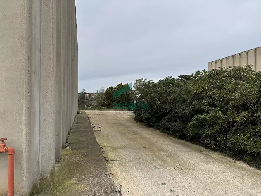 Immagine 15 di Attività artigianale in affitto  in SP231 KM 3,800 a Bitonto