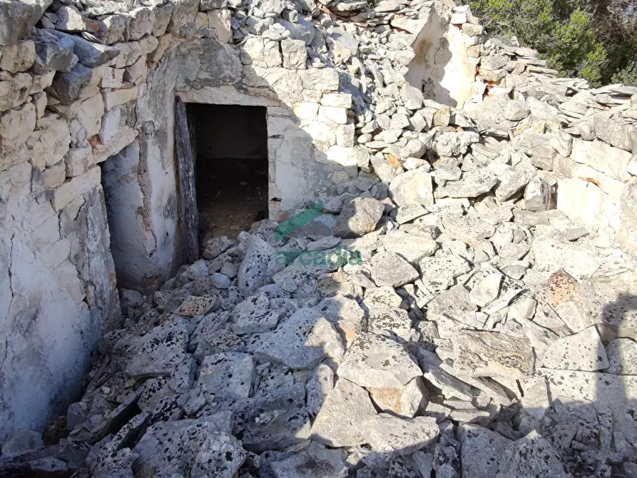 Immagine 17 di Rustico / casale in vendita  in Contrada Torchiano a Monopoli