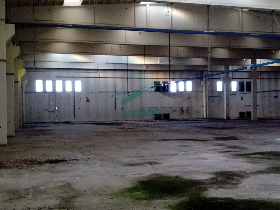 Immagine 4 di Attività artigianale in affitto  in SP231 KM 0,800 a Modugno