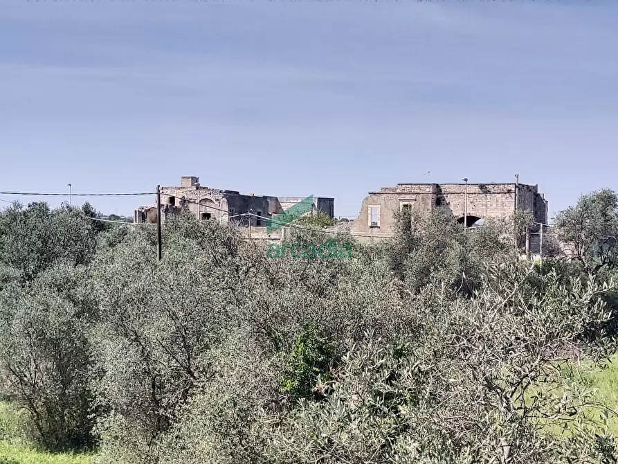 Immagine 29 di Rustico / casale in vendita  in Via Dott. Saverio Daconto Storico 12 a Giovinazzo