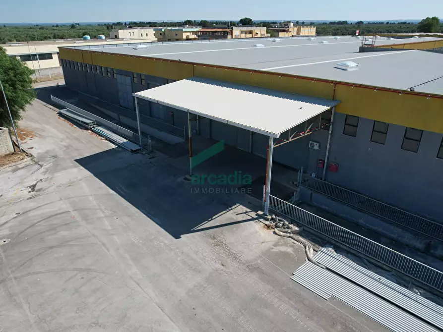 Immagine 5 di Attività artigianale in affitto  in SP231 98 a Terlizzi