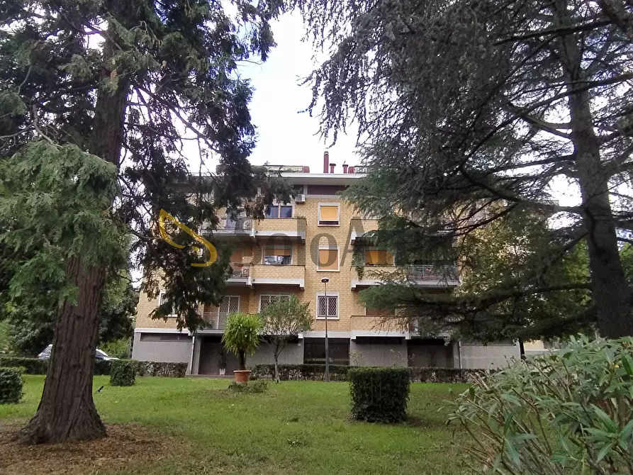 Immagine 45 di Trilocale in affitto  in Via degli Oleandri a Terni
