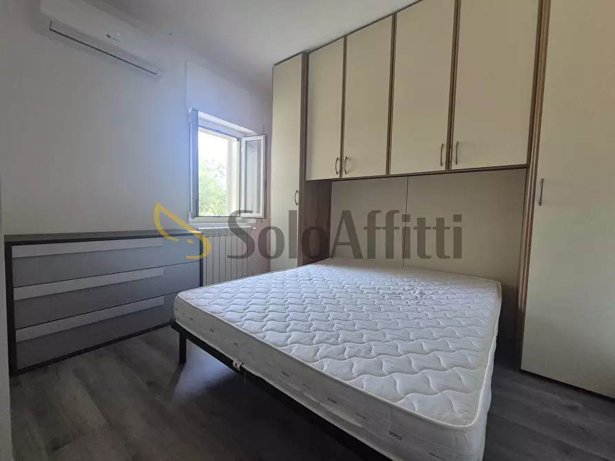 Immagine 7 di Trilocale in affitto  a Catanzaro